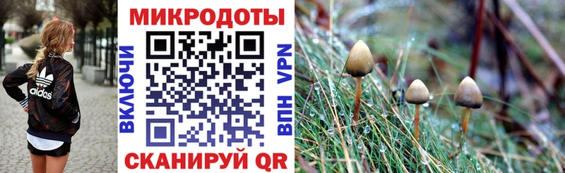 Купить где  Муравленко  Галлюциногенные грибы GOLDEN TEACHER 