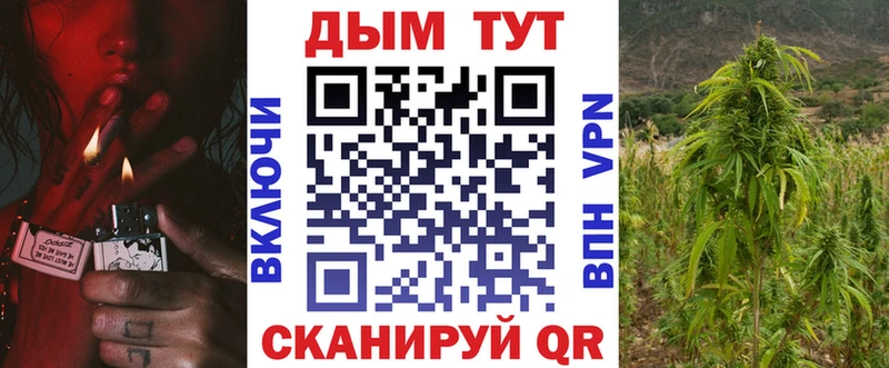 Купить  Муравленко  Бошки марихуана план 